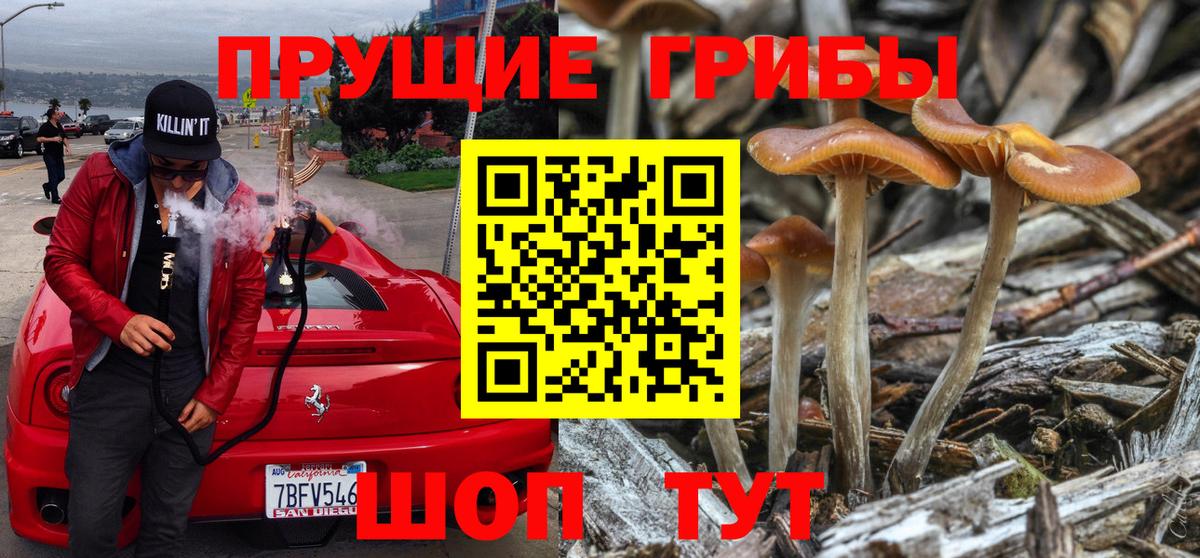 Галлюциногенные грибы мухоморы Киров